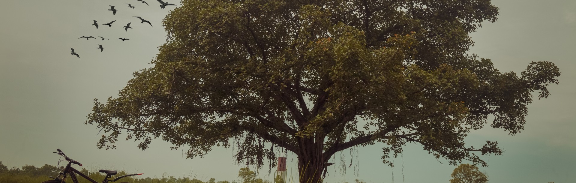 Cycling Tourism Nepal